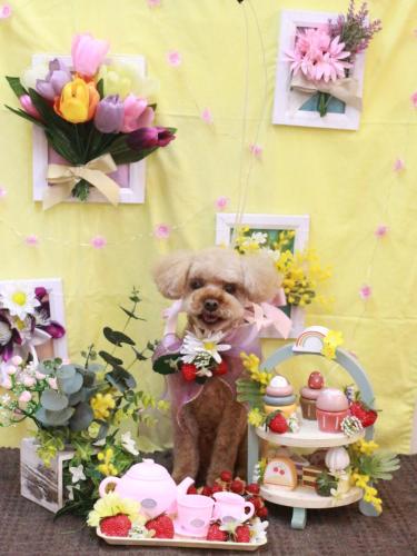 20230324そらくん